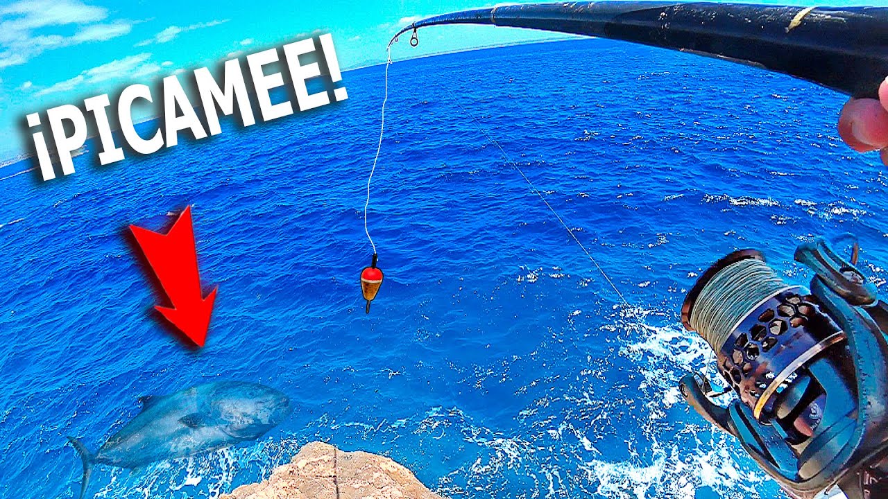 PESCA al VIVO con BOYA en ACANTILADO &iexcl;&iexcl;PICARMEE al PEZ VIVOO!! [Tambi&eacute;n ense&ntilde;o el montaje que uso]