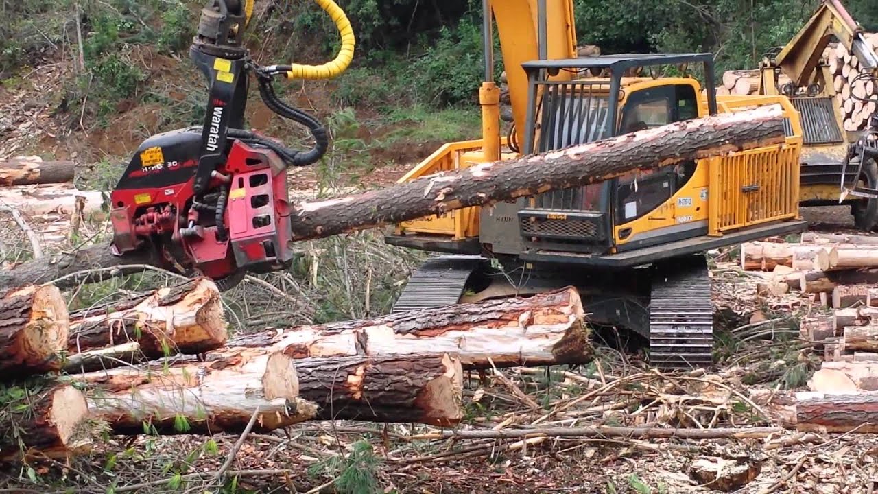 Cabezal waratah 616c.