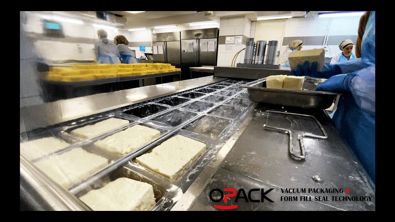 FETA CHEESE VACUUM PACKAGING MACHINE / OPACK - QZ 1000 MIDI