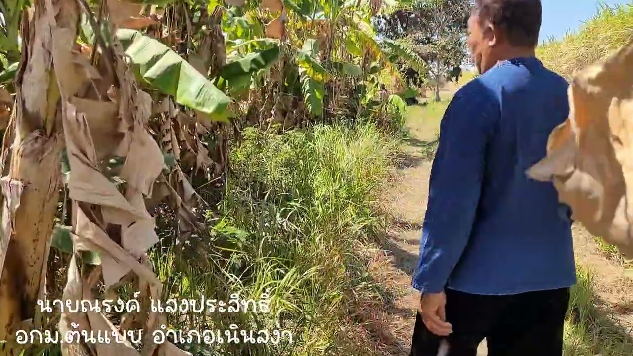 อาสาสมัครต้นแบบ อำเภอเนินสง่า ปี 2569 (นายณรงค์ แสงประสิทธิ์)