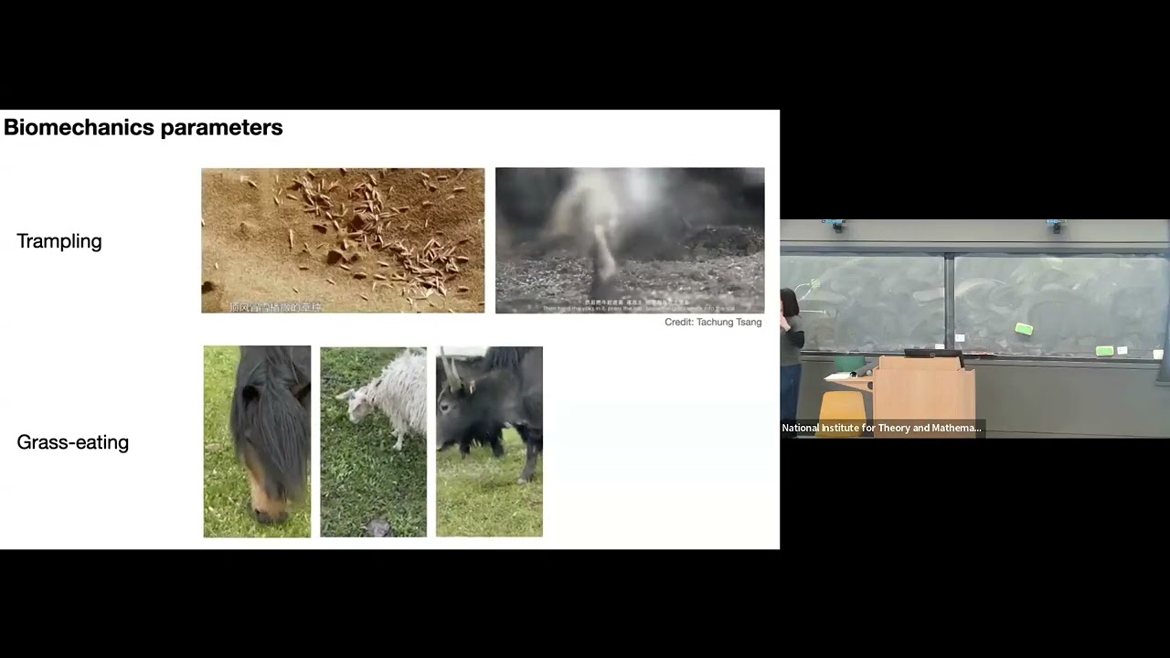 Yufei Xiao | Curiosity-Driven Dialogue and Collaboration Between Experiment and Theory