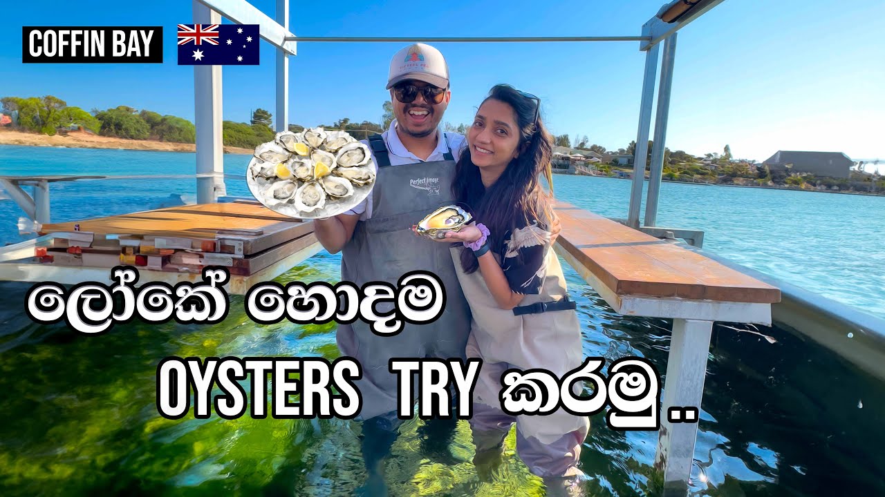 Trying Oysters for the first time | සිංහල Travel Vlog | Hello Explorers