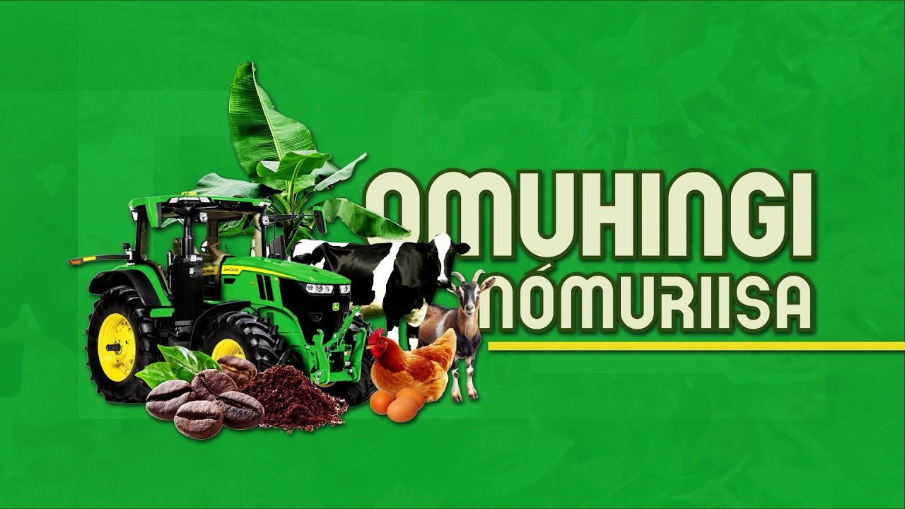 OMUHINGI N'OMURIISA || EDIMON PRINCIPLE FAMA || 18.02.2026