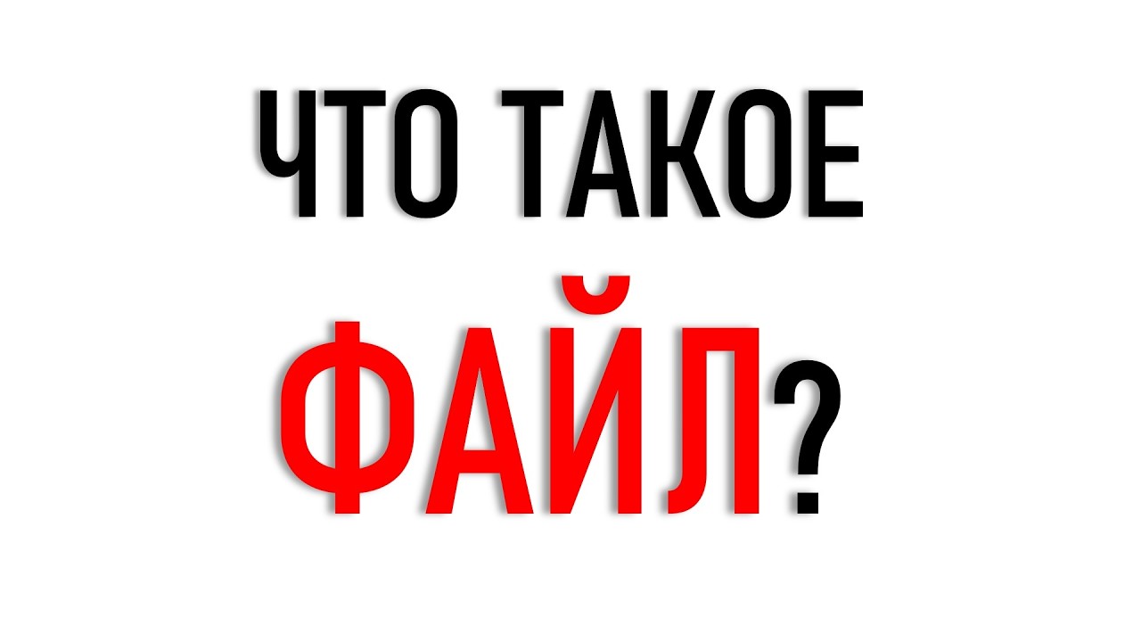 Что такое ФАЙЛ? КОМПЬЮТЕРНЫЙ ЛИКБЕЗ