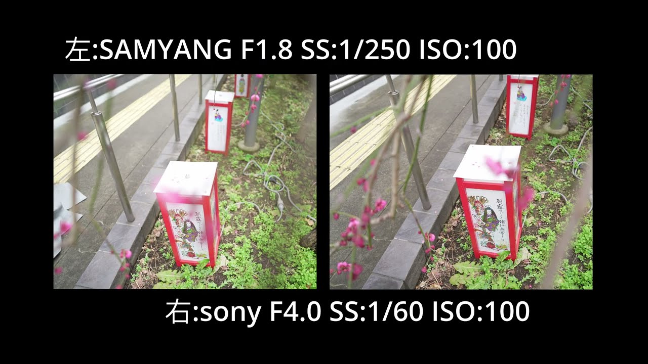 コスパ最強レンズ24mmf1.8で６万円。samyangレンズをsonyレンズと比較してみた。