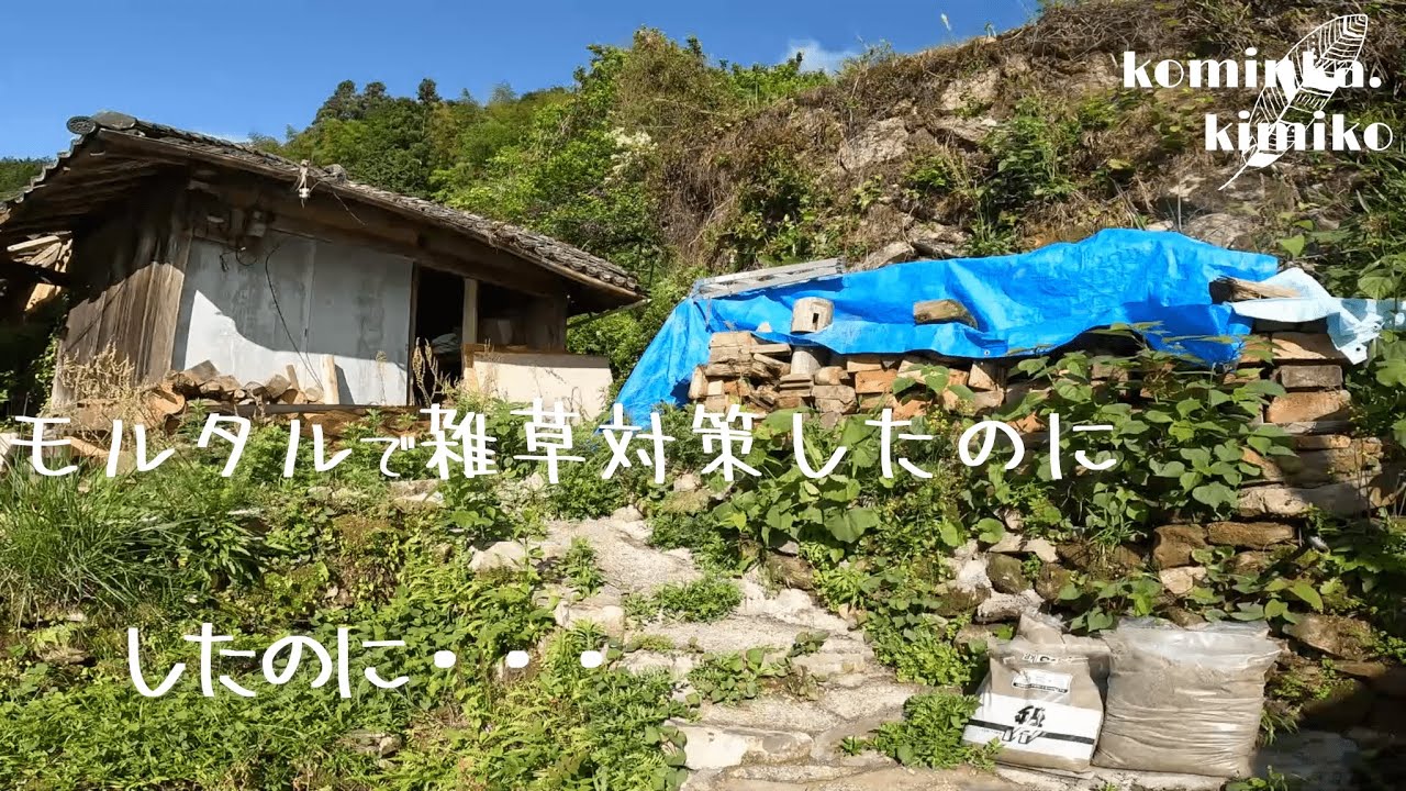 【古民家に住もう#162】モルタルで雑草対策をしました(*´ω｀*)