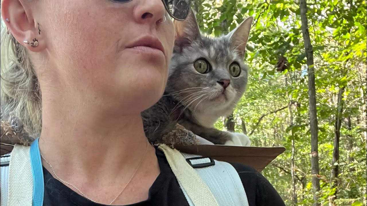 Why Can’t Dad Be On Our Adventure? | BilliSpeaks