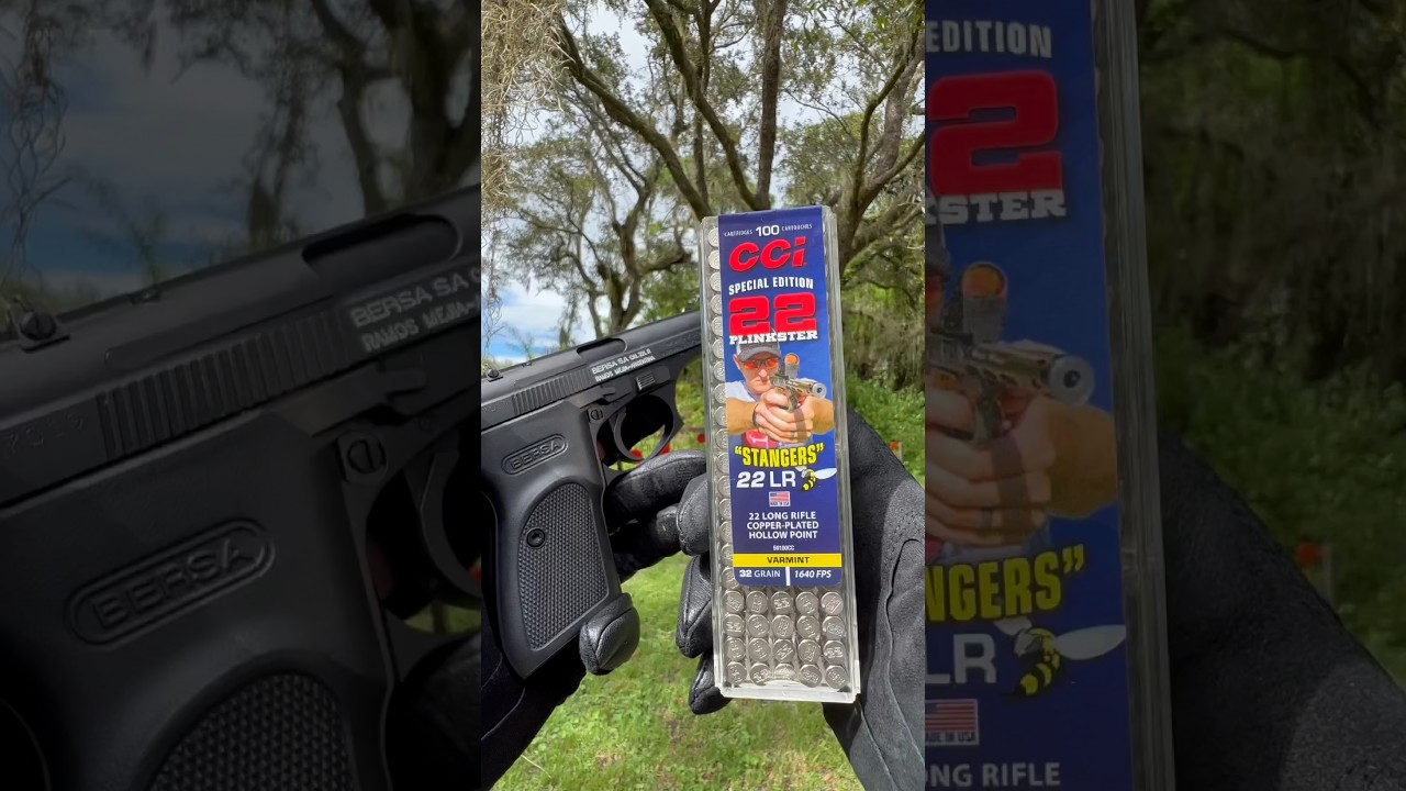 Играю с этой Bersa Thunder 22