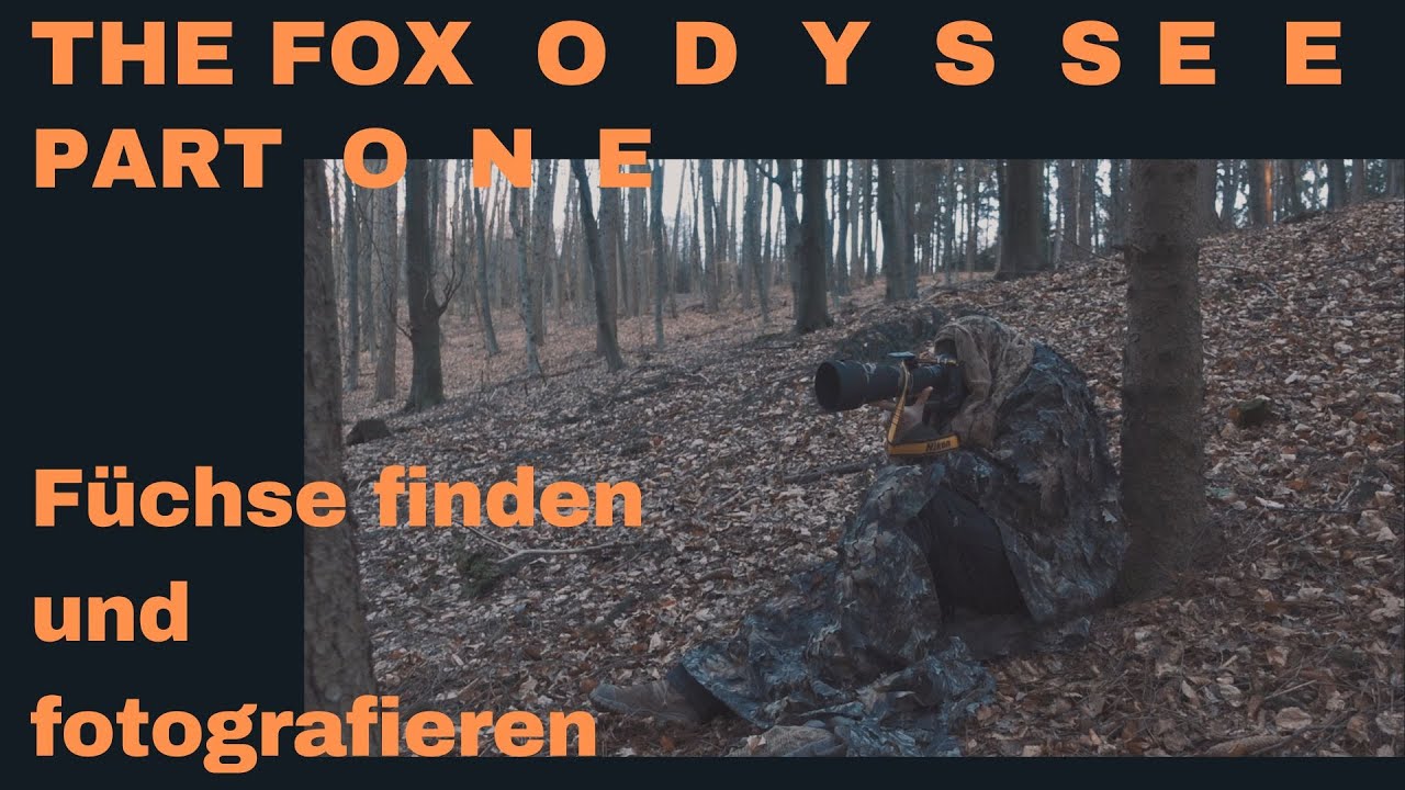 Füchse finden und fotografieren - The Fox Odyssee Part One