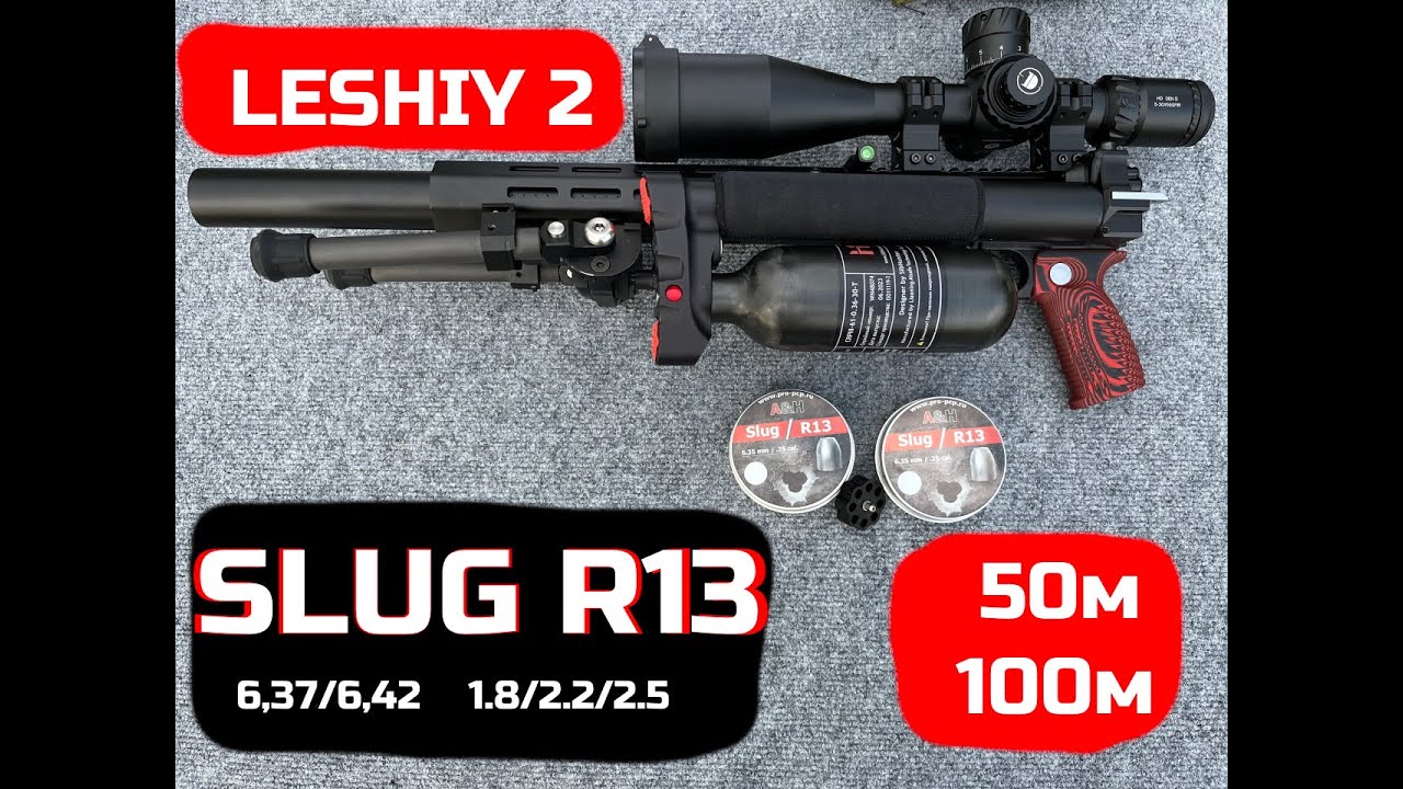 Леший 2 и слаги R13 на 50 и 100м