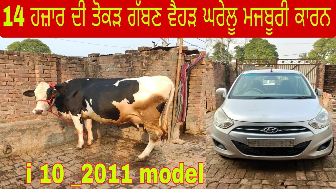ਫ਼ੋਨ 98556-17346 ਘਰੇਲੂ ਤੋਕੜ ਗੱਬਣ ਵੈਹੜ੍ਹ ਤੇ I10ਗੱਡੀ ਵਿਕਾਊ ਬਿਲਕੁੱਲ ਮੁਫਤ ਲੁੱਟ ਲਓ ਮੇਲਾ 