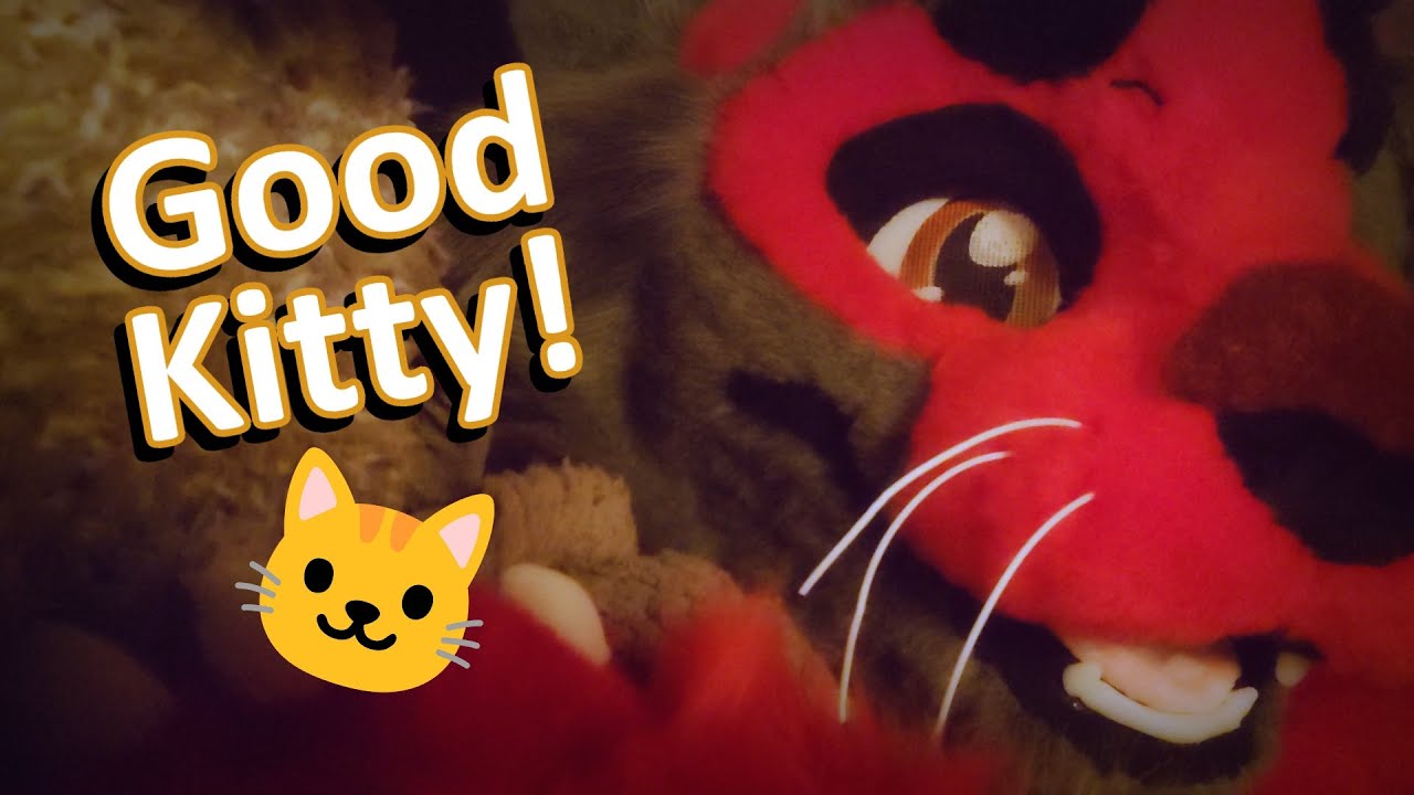 ASMR ~ You're a Purrfect Kitty! ❤️ Keeping You Warm & Snuggly (Petting, Purring, Paw Movements)