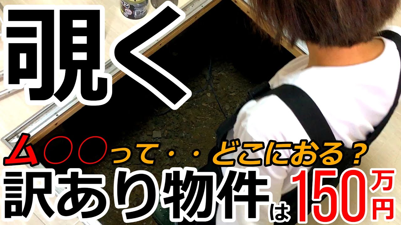訳あり物件 やばい！床下が気になり覗く女。最強のアレ投入！150万円の古屋付きキャンプ場