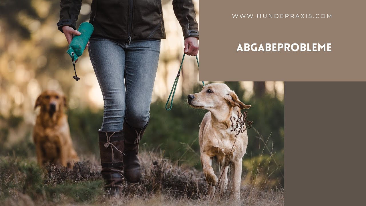 Abgabefehler