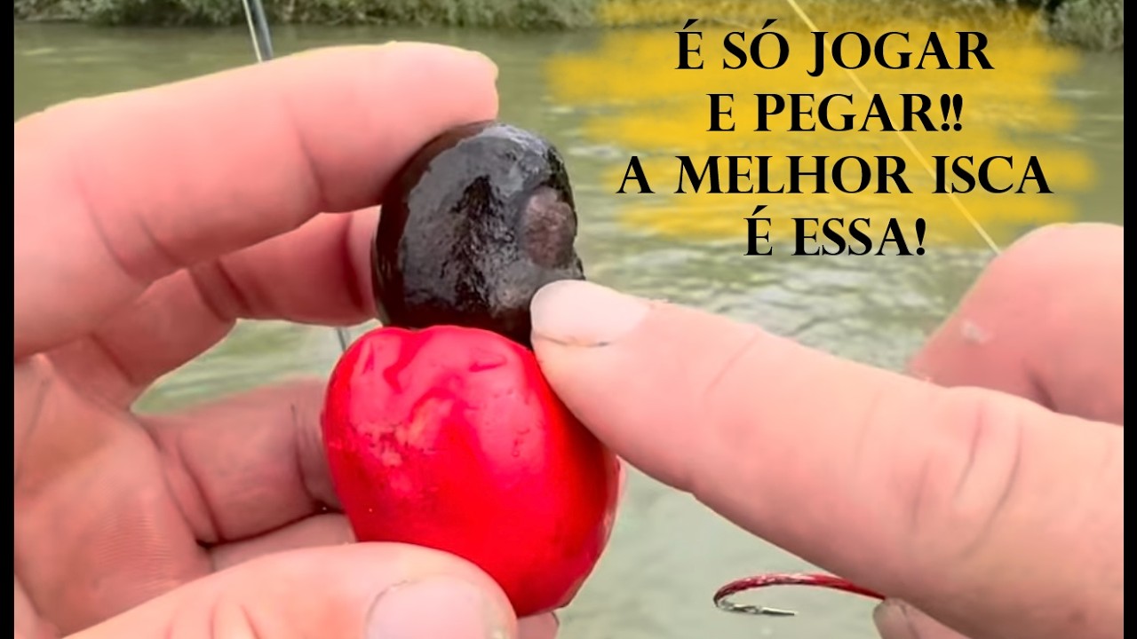 VEJA COMO É FEITA A PESCA DA MATRINXÃ COM CAJU - ESSA É A TECNICA MAIS ANTIGA DA PESCA DA MATRINXÃ