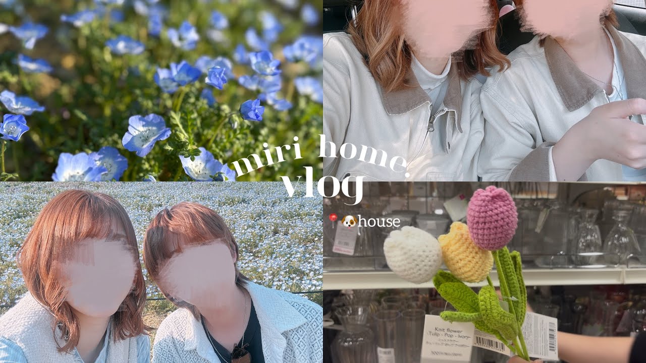 【同性カップル】春のお散歩vlog/ネモフィラ🩵🤍/同棲前のお買い物/🐶🏠お別れパーティ