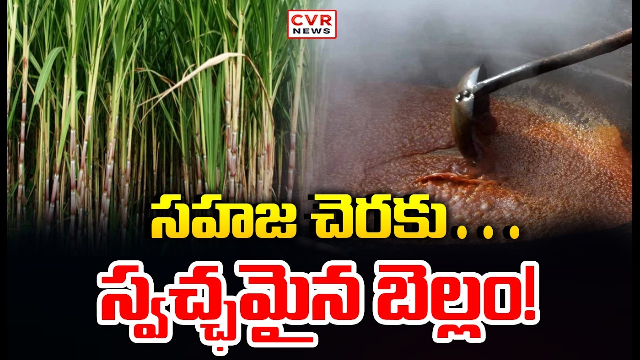 అర్గానిక్ పద్ధతిలో చెరకు పంటను పండించి బెల్లం తయారు | Organic Sugarcane to Pure Jaggery | CVR News