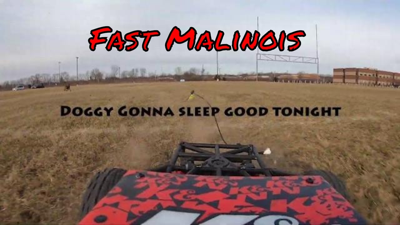 Malinois Chases RC Truck...MUST SEE!