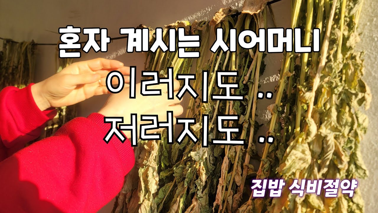 집밥 식비절약 혼자 계시는 시어머니댁에 다녀왔어요