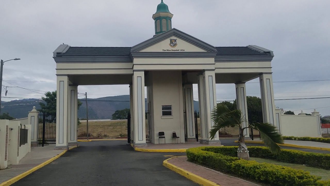 Mico University | Kingston