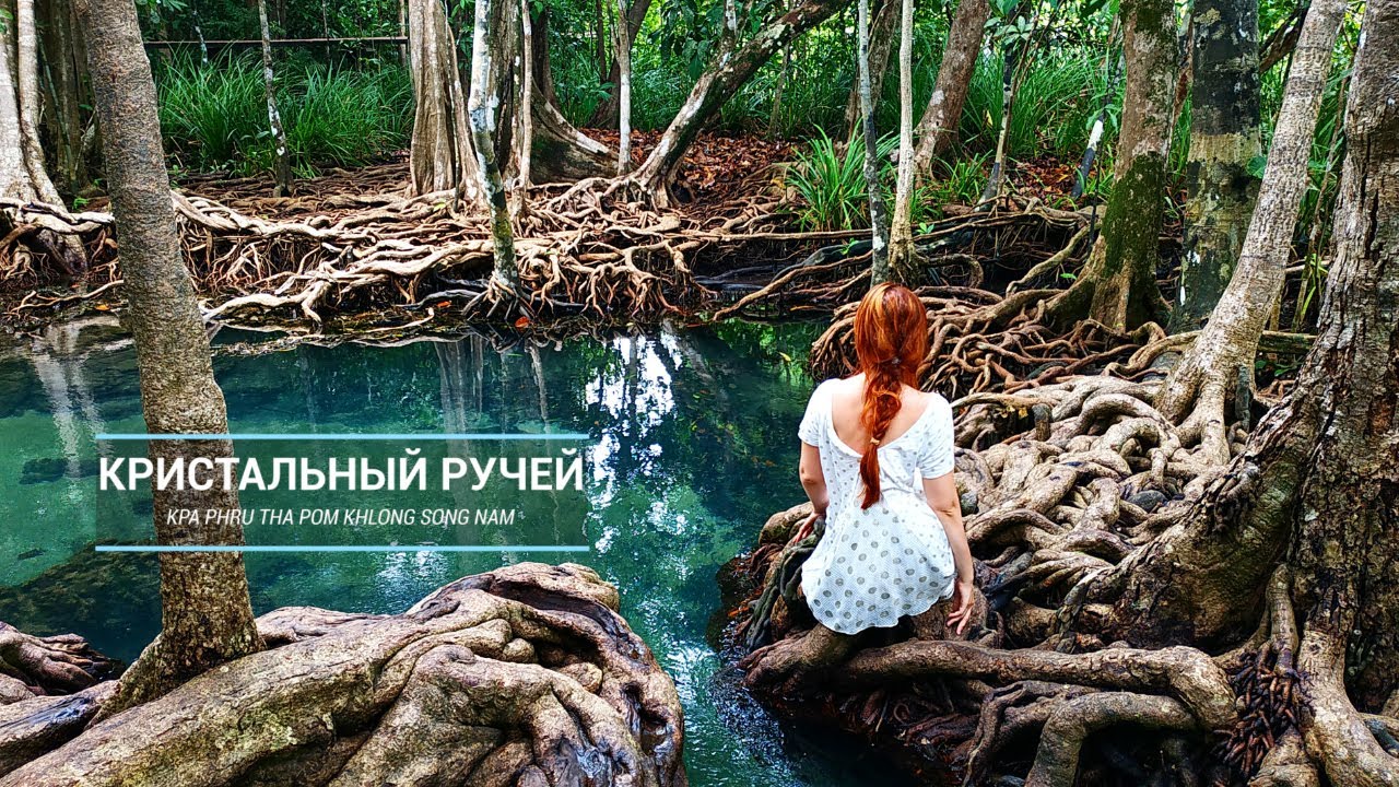 Кристальный ручей: подводный мир рек Таиланда / Pa Phru Tha Pom Khlong Song Nam