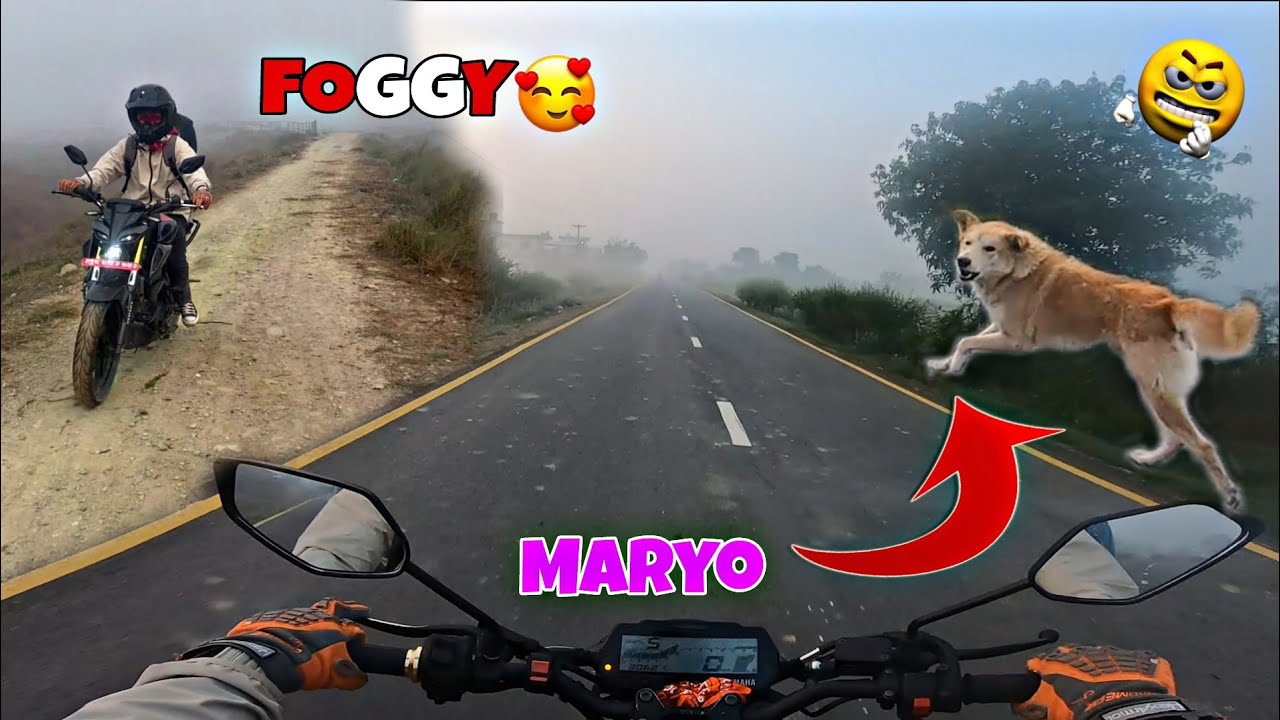 FOGGY MORNING BIKE RIDE TO GAIDAHAWA TAAL || ANGRY DOG CHASED ME 🥵 CHASED IT BACK 😂