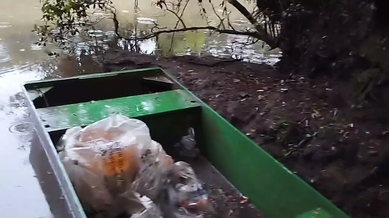 Décimo primeiro dia de seva de carpa no rio marombas/e tentando pegar um bitela