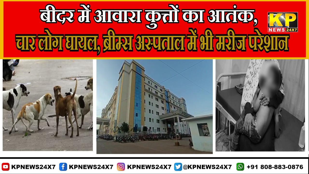 Bidar News|Stray Dog Terror in Lalwadi & Ladgeri, 4 People Injured & Patients at BRIMS Face Distress