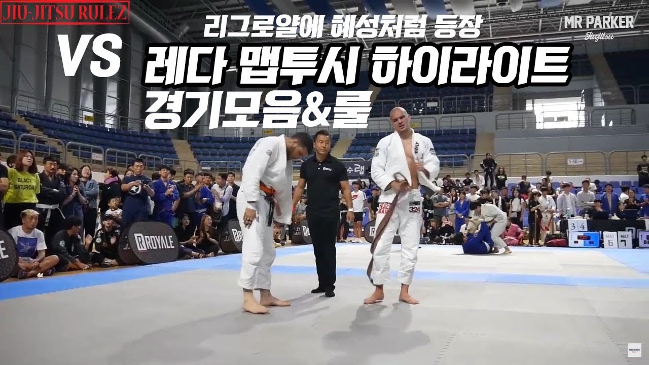 레다맵투시 하이라이트로 기술과 룰분석