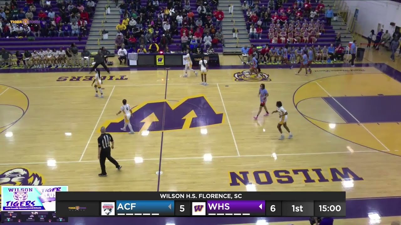 Wilson Lady Tigers vs. AC Flora Lady Falcons | SCHSL 4A State Playoffs 3rd Round