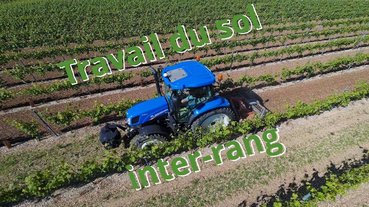 Travail du sol inter rang rotative vigne 2024