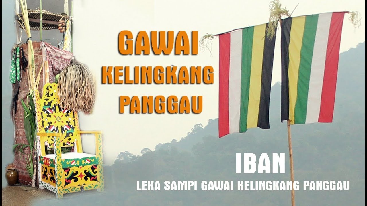 🎥 Adat Iban - LEKA SAMPI GAWAI KELINGKANG PANGGAU #GAWAIIBAN #SELAMATGAWAI2020