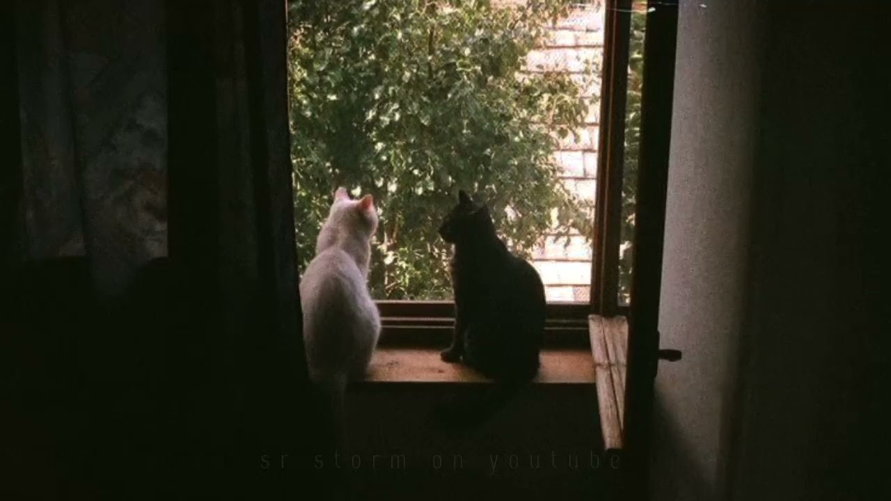 zach templar - missing something (slowed + reverb)