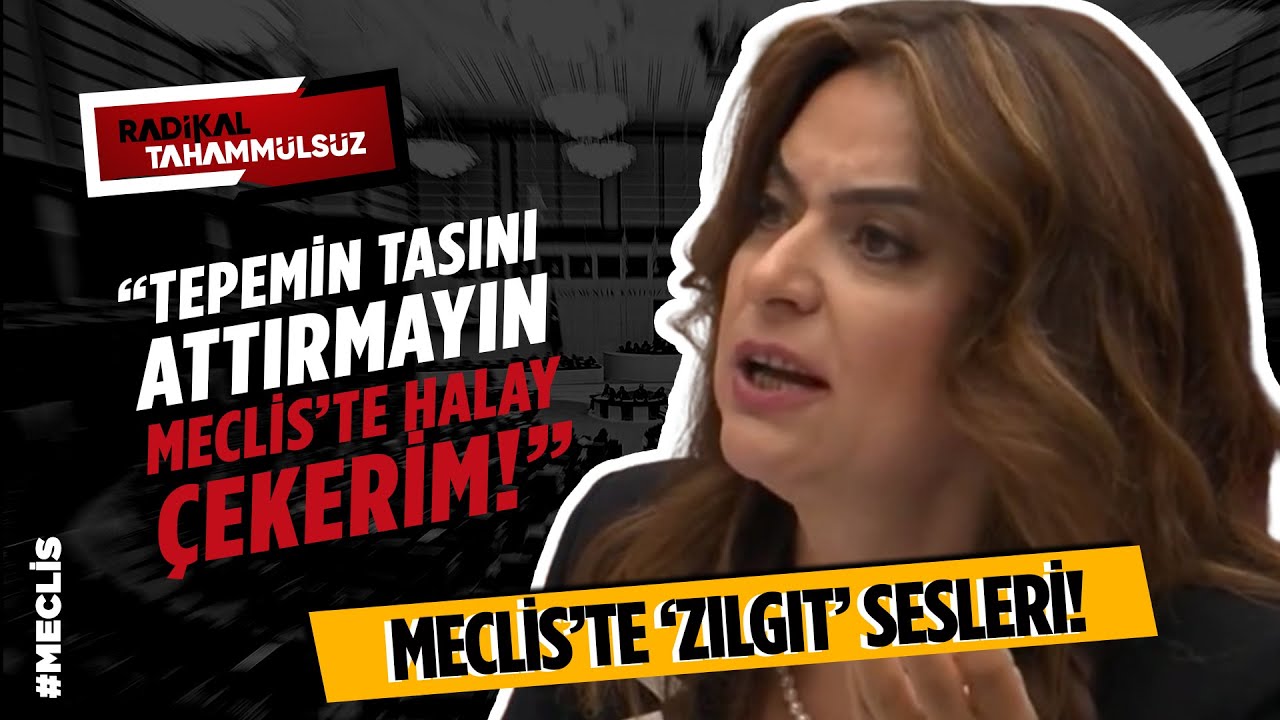 Meclis'te 'HALAY' KRİZİ! DEM Partili vekil çıldırdı, 'Halay çekeriz' diyerek ateş püskürdü | ARŞİV