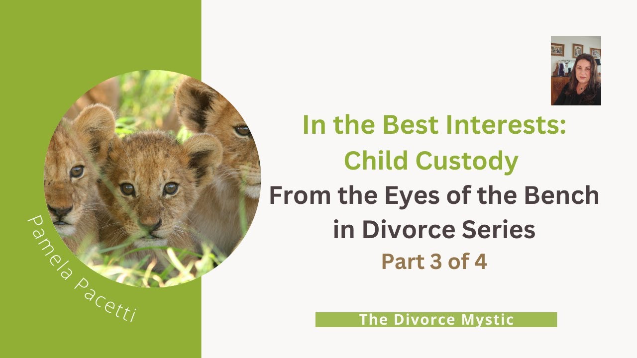 In the Best Interests: Child Custody from the Eyes of the Bench in Divorce (Part 3)