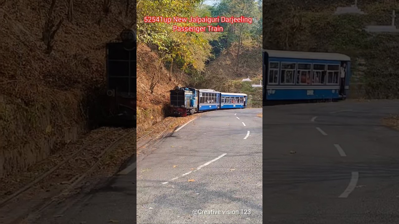 52541up New Jalpaiguri Darjeeling passenger Train #train #hillrailway #hillside #toytrain