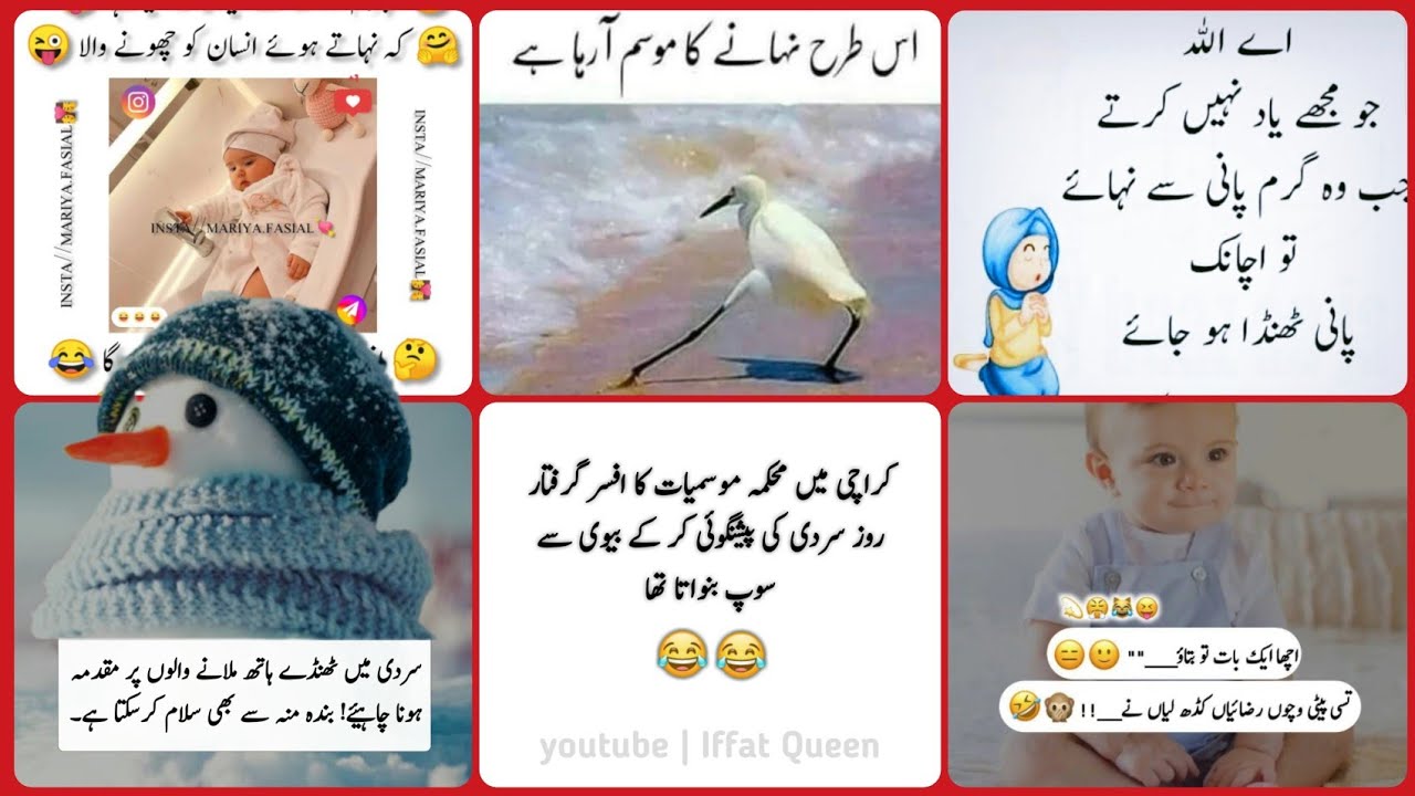 winter funny Quotes in Urdu 🥶 | 🤣تی پیٹی وچوں رضائیاں کڈھ لیاں نے