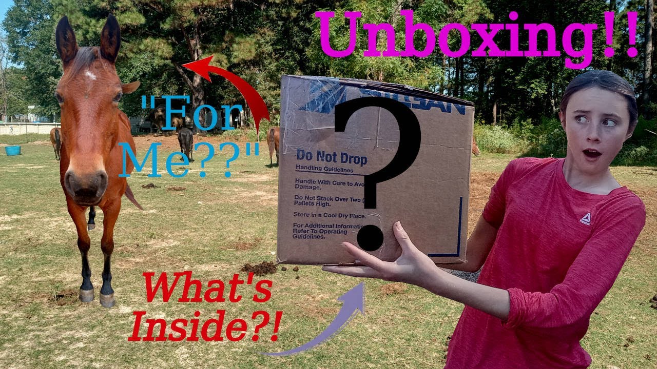 Huge Horse Tack Unboxing!!