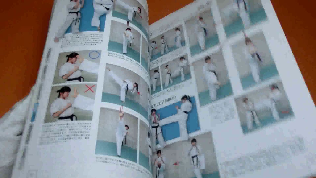 Martial arts Technique Encyclopedia book karate sumo sambo taekwon-do etc #0513