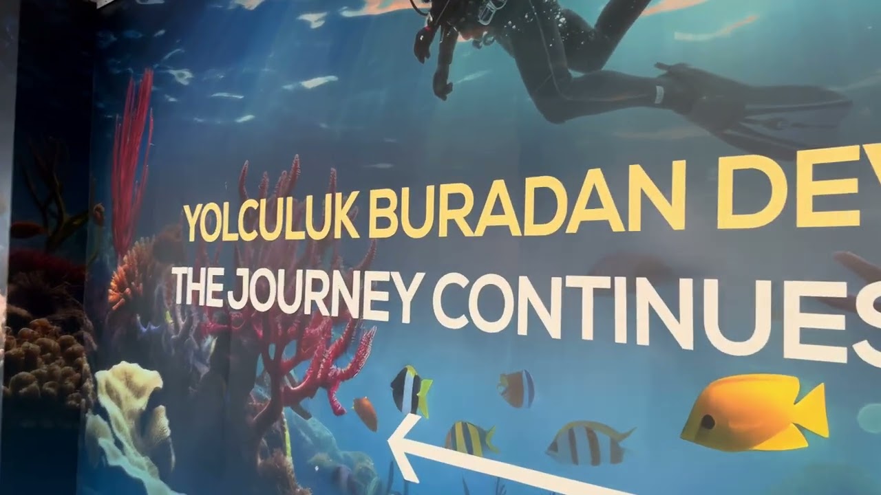 Florya Akvaryum’u Baştan Sona Gezdim! 😱 Dünyanın En Zehirli Kurbağasıyla Karşılaştım!