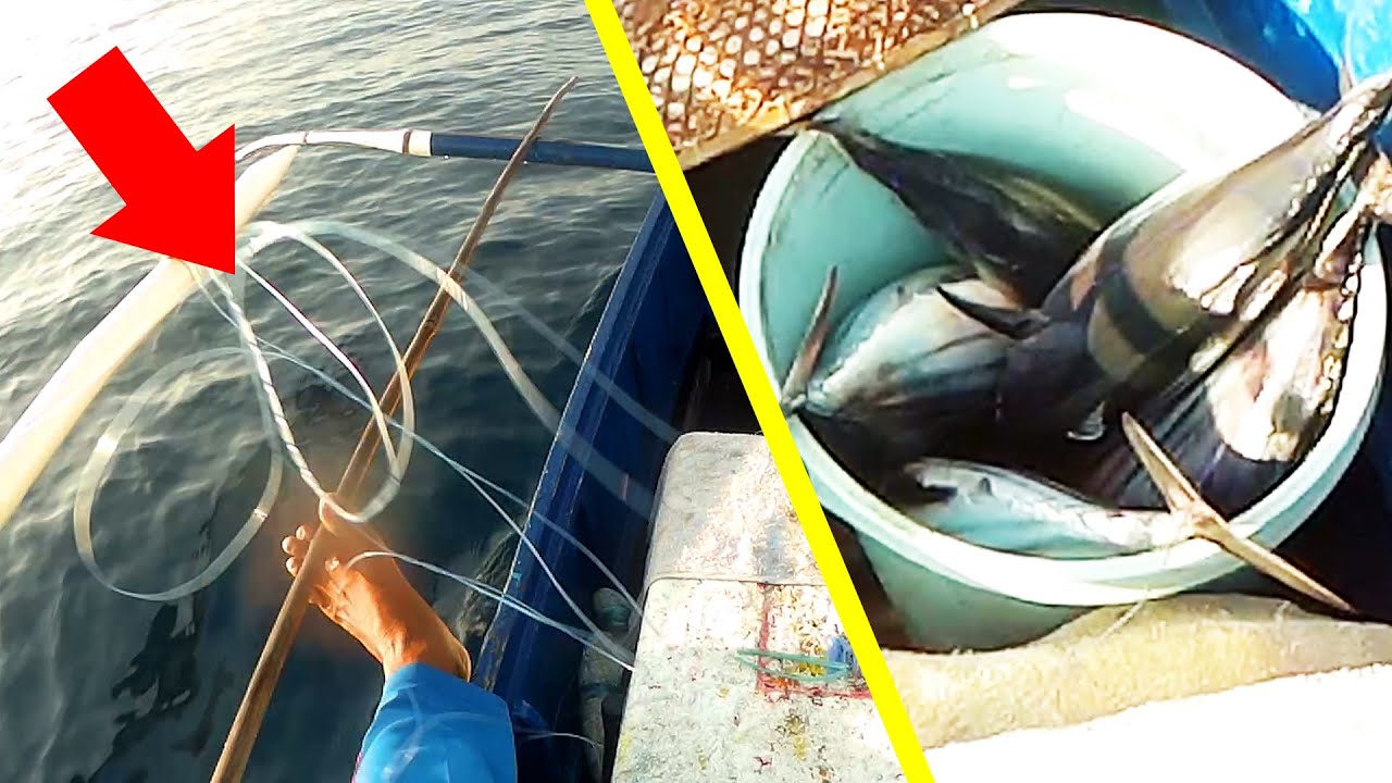 Skipjack Tuna Fish Catching More Fun! (Buhay ng Veteranong Mangingisda) | Fishing in the Philippines