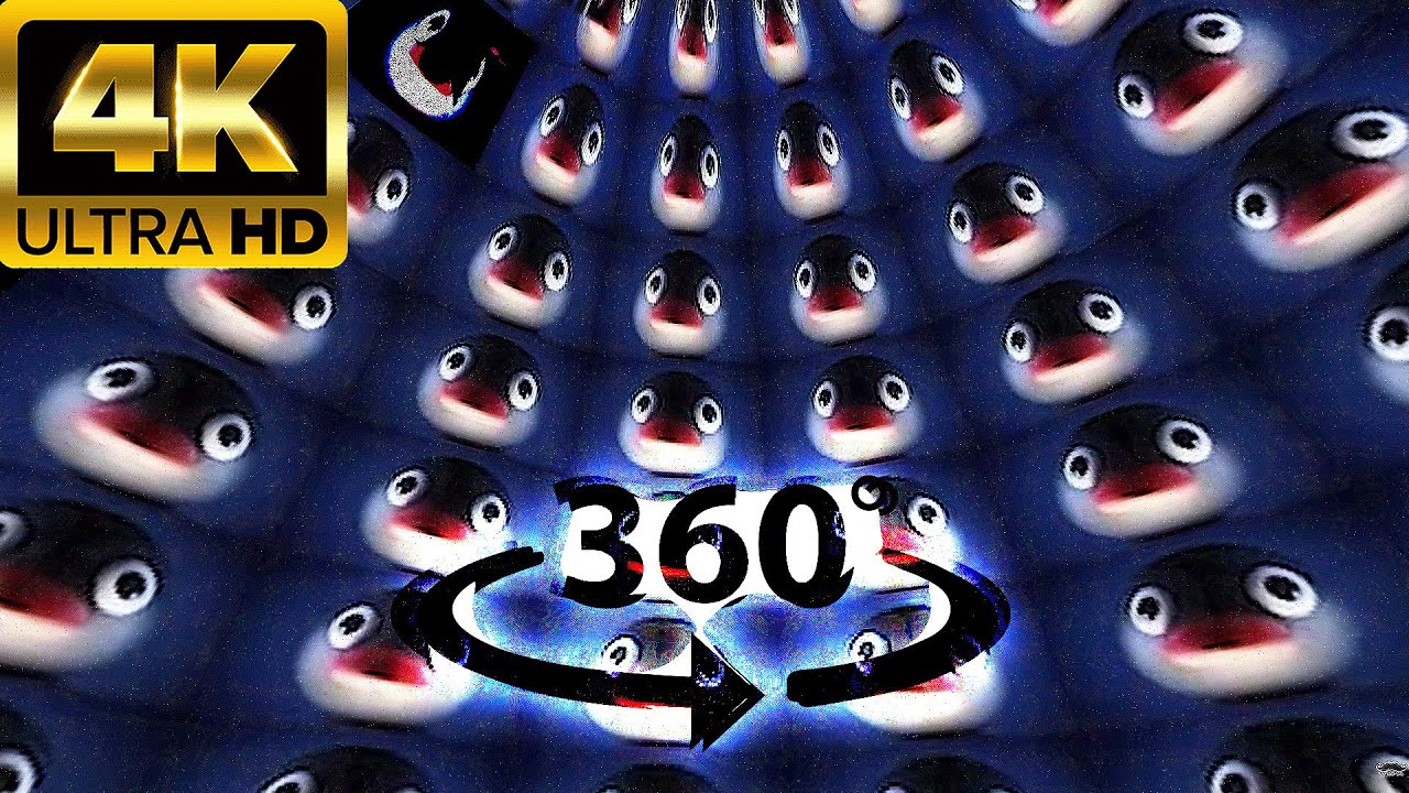 Noot noot OVER 1 MILLION TIMES VR 360&deg; 4k