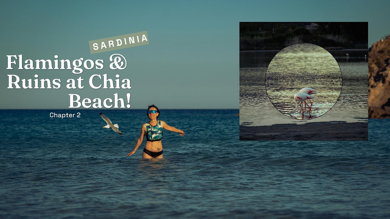 Why Chia Beach is a Must-Visit in Sardinia! #sardinia #flamingo #italy