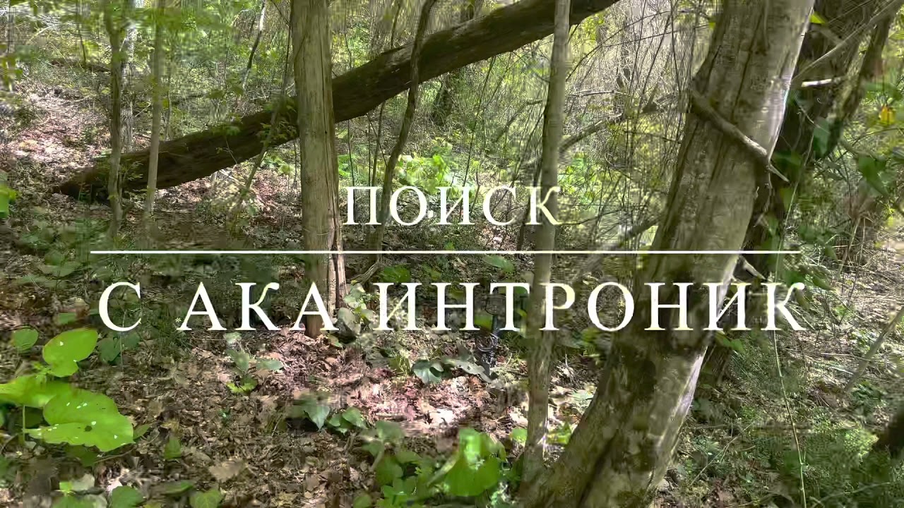 Коп с АКА Интроник!Интересная находка давненько таких не было!