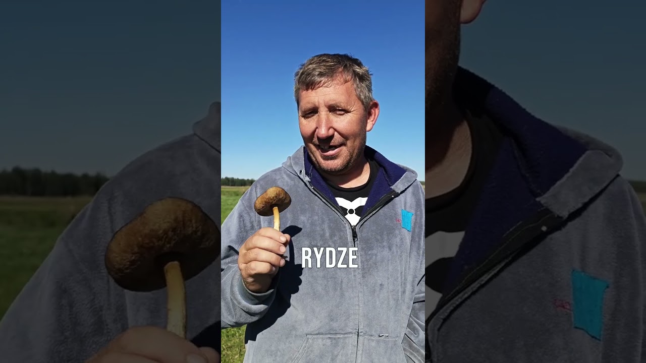 Czas na grzyby! 🍄#rolnicyzpodlasia #plutycze