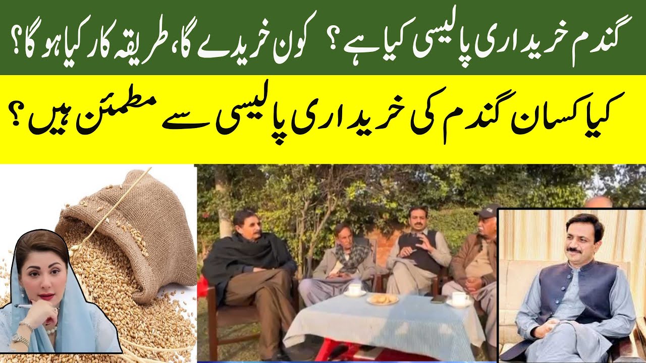 “Who Buys Wheat in Pakistan? New Policy Explained”