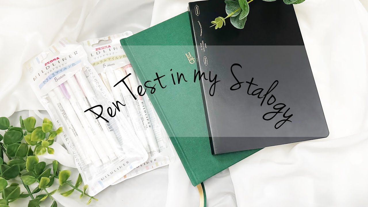 Pen test in a Stalogy 365 day A5 notebook #planner #stalogy #stalogysetup #bujo #bulletjournal #pwm