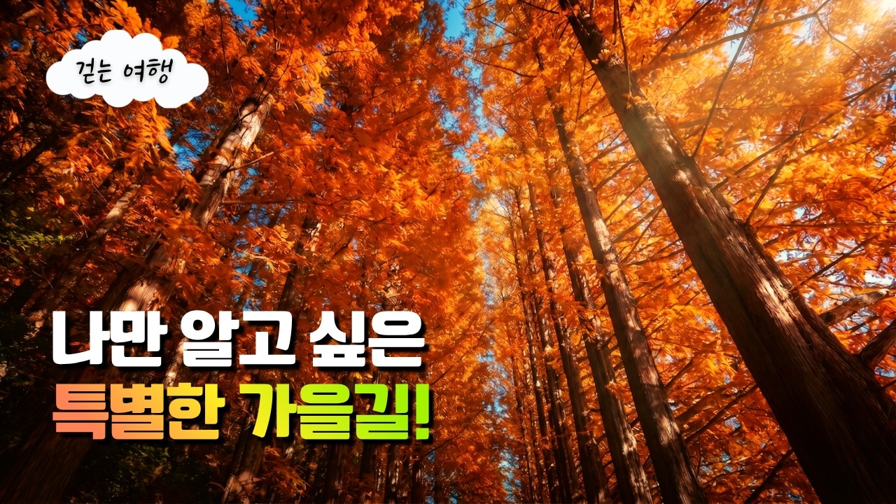 버스정류장에서 5분만에 만나는 한국의 캐나다! 곳곳의 숨은 단풍 명소와 친근하지만 특별한 가을 길을 만나보세요 | 대중교통여행