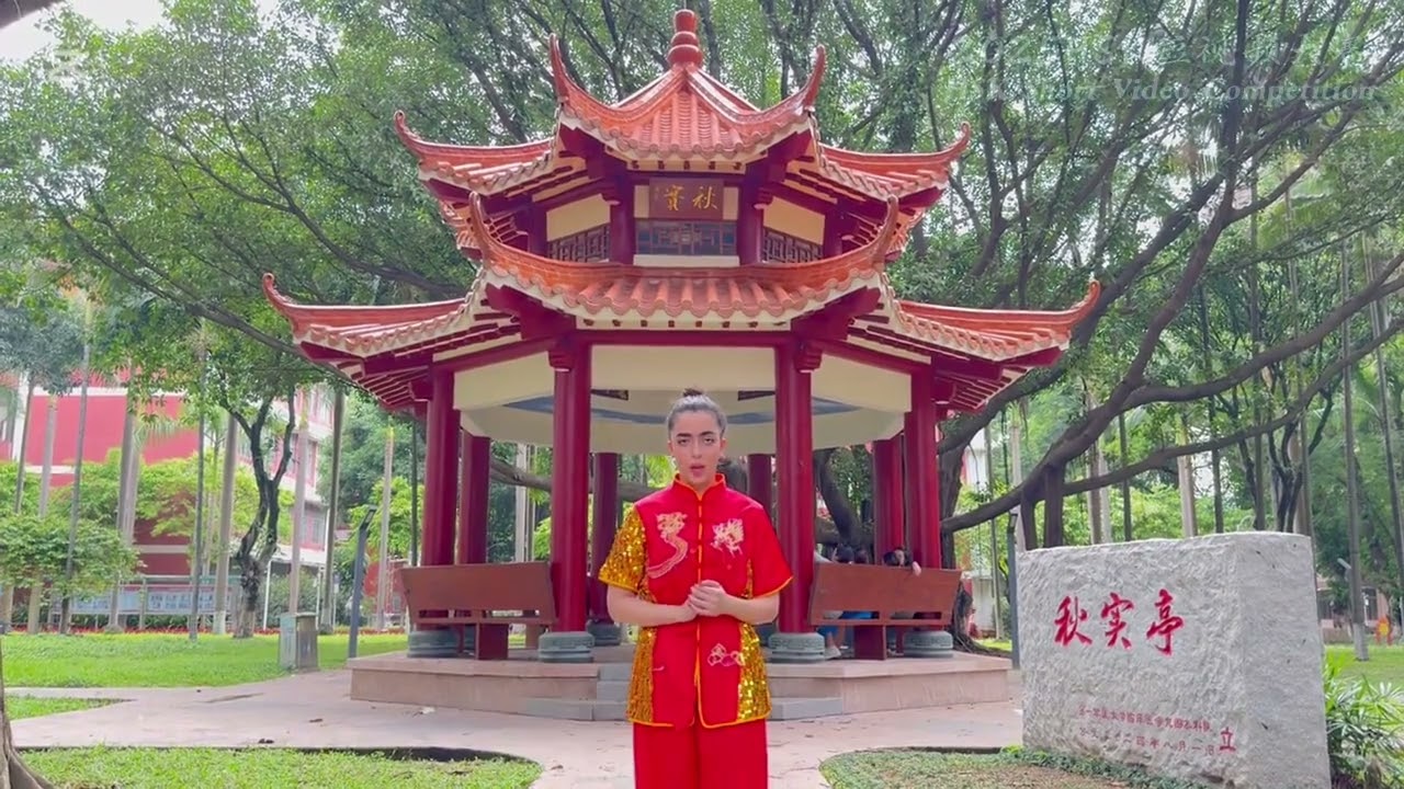 我与中国武术