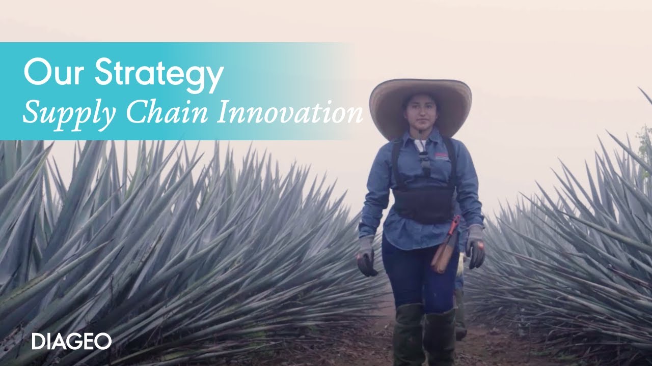 Achieving excellence within our Supply Chain | Diageo